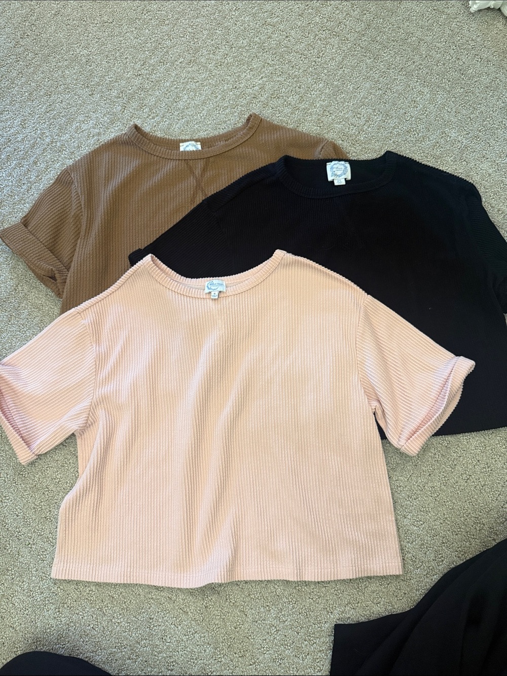 Francesca's Collections Ribbed Cropped Tee in Blush, Black & Brown